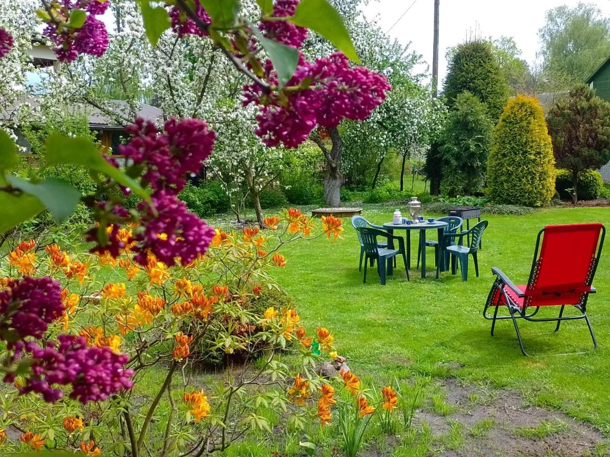 House, Garden & Sauna. Free Parking. Train Stop-200 M. Sea-1 Km. Jūrkalne Eksteriør billede