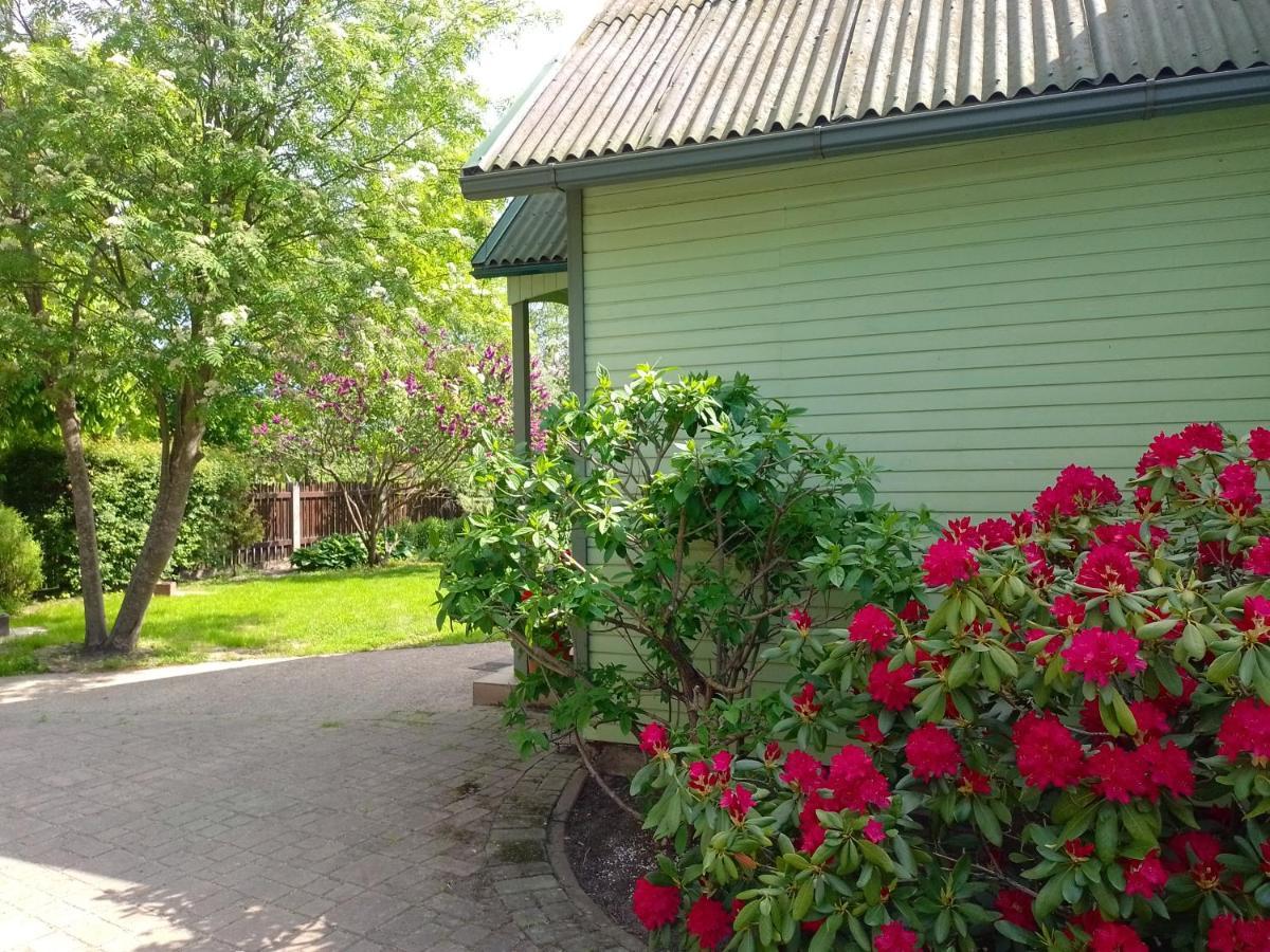 House, Garden & Sauna. Free Parking. Train Stop-200 M. Sea-1 Km. Jūrkalne Eksteriør billede
